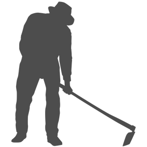 Second Concentration